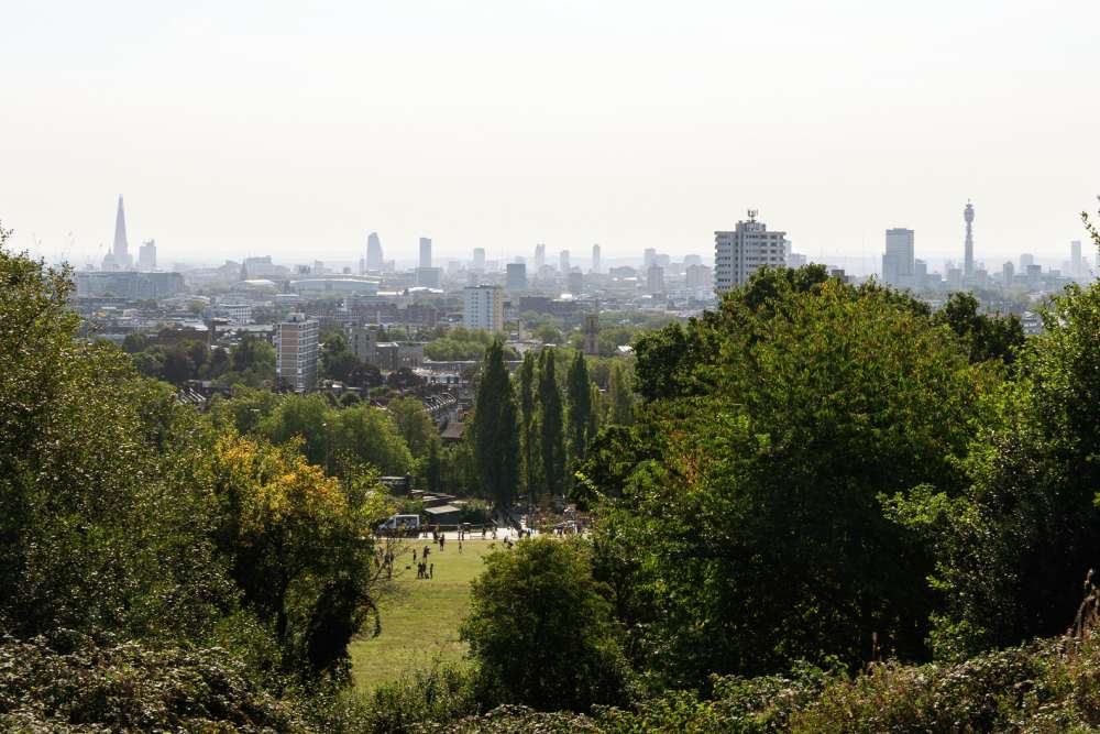 Tall trees in the foreground, with the London skyline in the background.